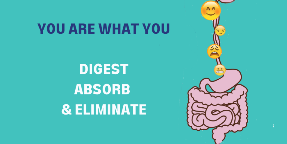 Copy of Your paragraph text