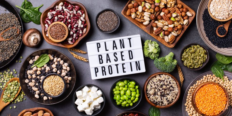 Variety of healthy vegan, plant based protein source and body building food. Tofu soy beans, legumes, lentils, green vegetables, nuts, seeds, quinoa and oats. View from above